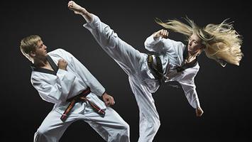 Learn Taekwondo captura de pantalla 3