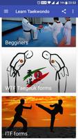 Learn Taekwondo Affiche