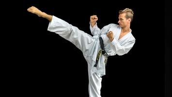 Learn Taekwondo capture d'écran 1