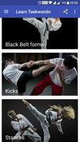 Learn Taekwondo capture d'écran 2
