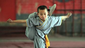 Learn Kung Fu screenshot 3