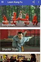 Learn Kung Fu poster