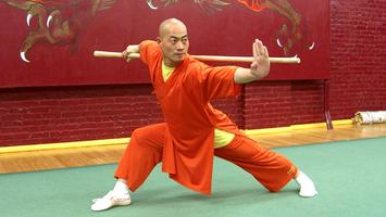 Learn Kung Fu screenshot 1
