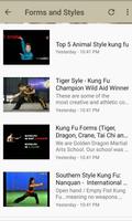 Learn Kung Fu screenshot 2