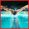 Learn Swimming Step by Step APK