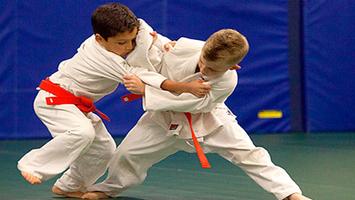 Learn Judo Affiche