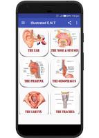 Illustrated ENT Handbook الملصق