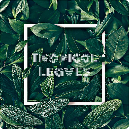 Tropical Leaves Wallpapers
