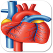 Heart-Healthy Food Complete Guide