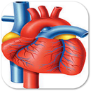 Heart-Healthy Food Complete Guide APK