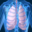 Audio Guide To Breath Sounds. APK