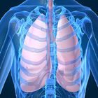 Audio Guide To Breath Sounds. Zeichen