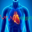 Audio Guide To Heart Sounds.