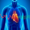 Audio Guide To Heart Sounds.