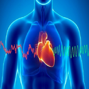 Audio Guide To Heart Sounds. APK