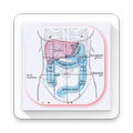 Learn Abdominal Radiological Findings
