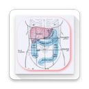 Learn Abdominal Radiological Findings APK