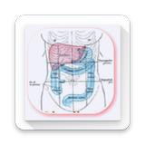 Learn Abdominal Radiological Findings simgesi