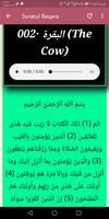 Gwani Sadiqu Quran Recitation  screenshot 3