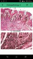 Practical Pathology تصوير الشاشة 3