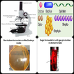 Practical Microbiology