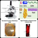 Practical Microbiology APK