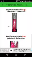 Practical Microbiology APK 下載