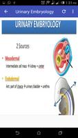 Systemic Embryology captura de pantalla 1