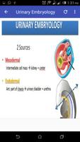 Systemic Embryology capture d'écran 1