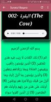 Gwani Sadiqu Quran Recitation Ekran Görüntüsü 3