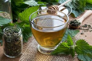 Infusiones para el Mal Aliento Ekran Görüntüsü 2