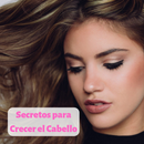 Secretos para hacer Crecer el Cabello mas Rápido APK