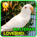 APK Masteran Lovebird Ngetik - Ngekek Panjang