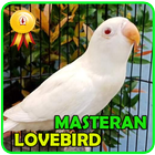 Masteran Lovebird Ngetik - Ngekek Panjang icon