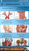 All Anatomy Mnemonic Affiche