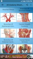 All Anatomy Mnemonic poster