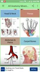 All Anatomy Mnemonic APK 下載