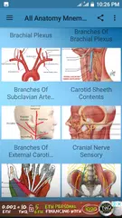 All Anatomy Mnemonic APK 下載