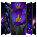 Purple Wallpaper Lock screen APK