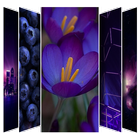 Purple Wallpaper Lock screen icône