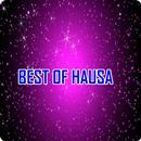 Best Hausa Songs APK