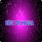 Best Hausa Songs icône