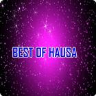 Best Hausa Songs 아이콘