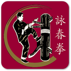 Wing Chun icon