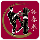 Wing Chun: İpuçları ve Dersler APK