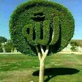 Kaligrafi Wallpaper أيقونة