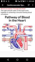 Anatomy and Physiology screenshot 3