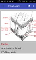 Dermatology Made Easy capture d'écran 1