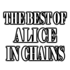 The Best Of Alice In Chains simgesi