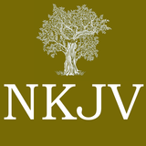 Holy Bible NKJV - Study Online-icoon